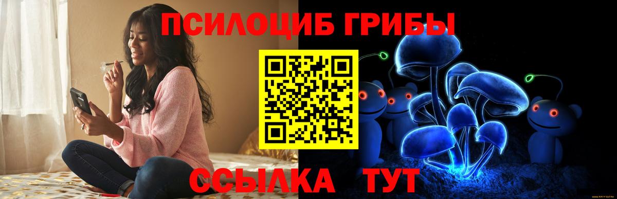 Галлюциногенные грибы Psilocybe  Вход с VPN  Псилоцибиновые грибы мухоморы  Тула 